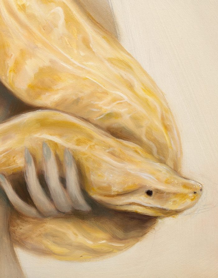 Indomable II Print